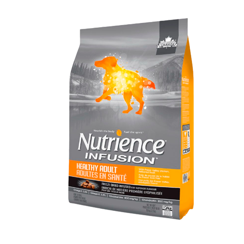 Nutrience Infusion Adulto Medium 10 KG