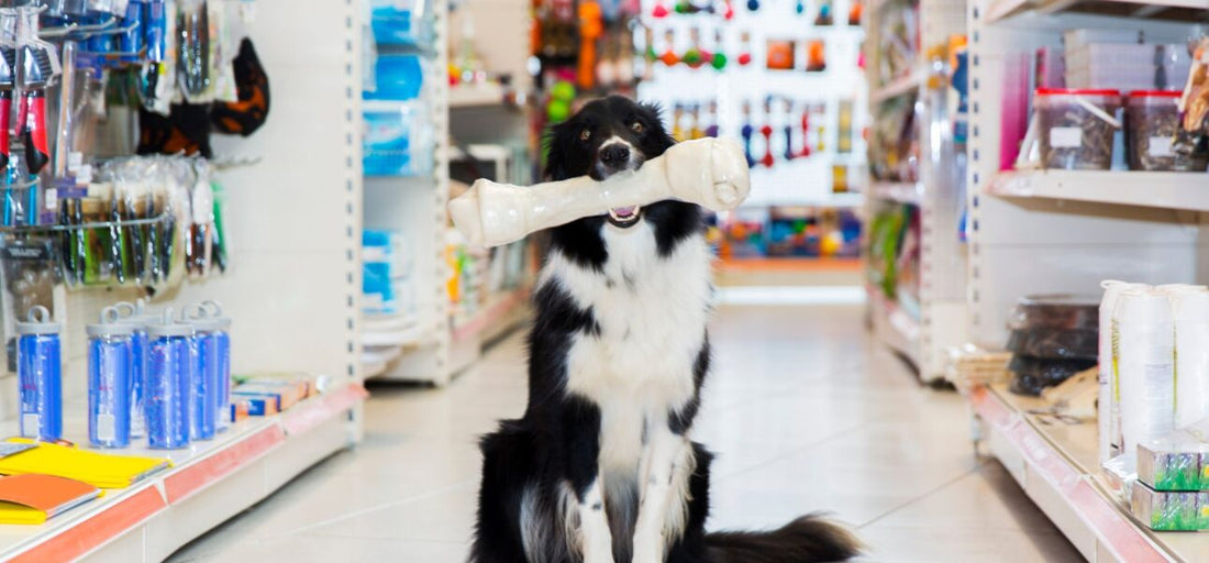 Todo lo que tu mascota necesita, en un solo lugar