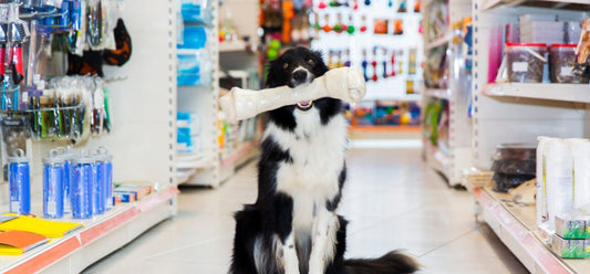 Todo lo que tu mascota necesita, en un solo lugar