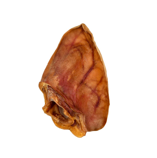 Oreja De Cerdo Gc 1uni