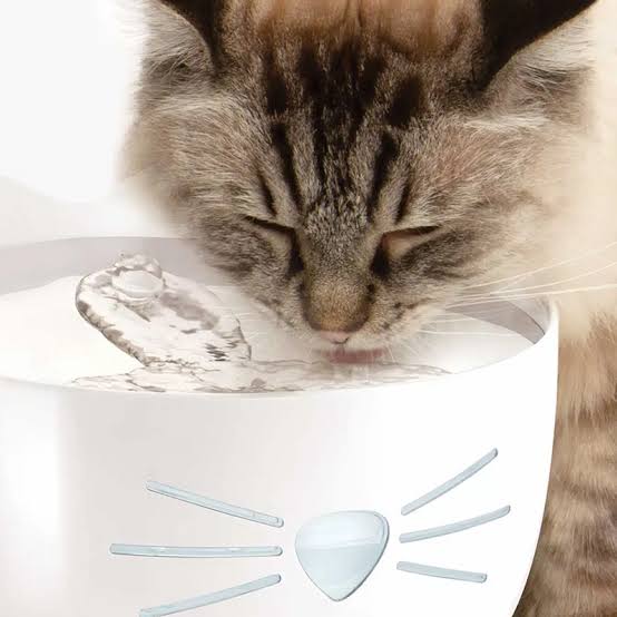 Catit Pixi Fuente Acero Inox