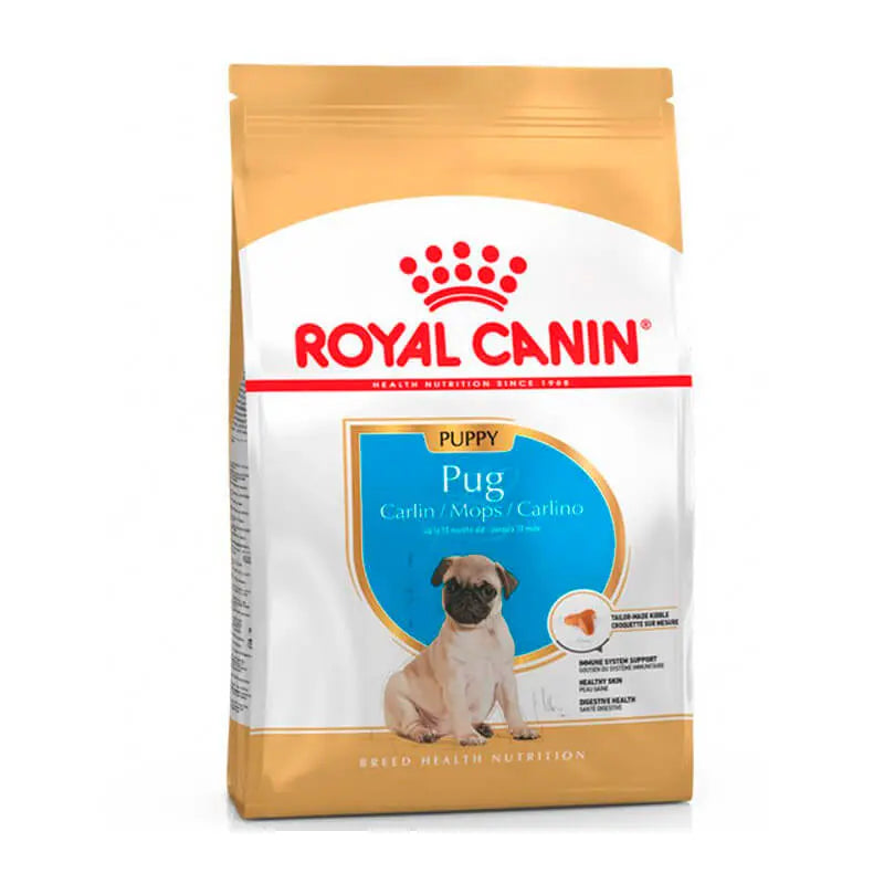 Pug Puppy 2.5 KG